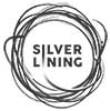 SLAPstrategist - Silver Lining